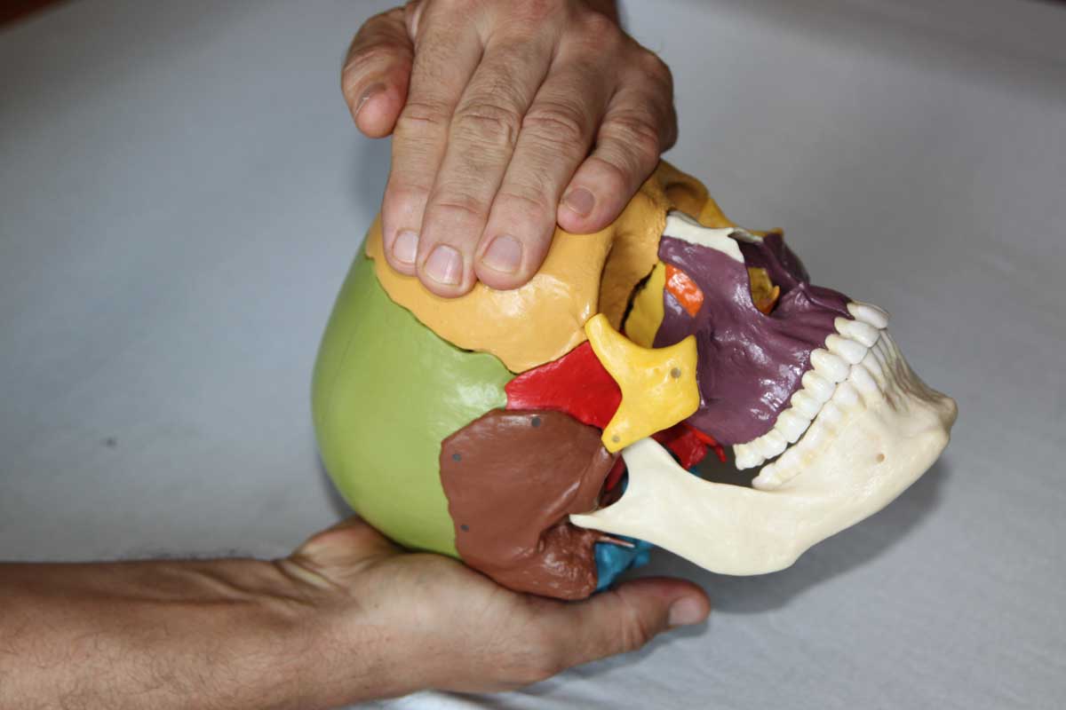 Osteopathie Schädeldrainage